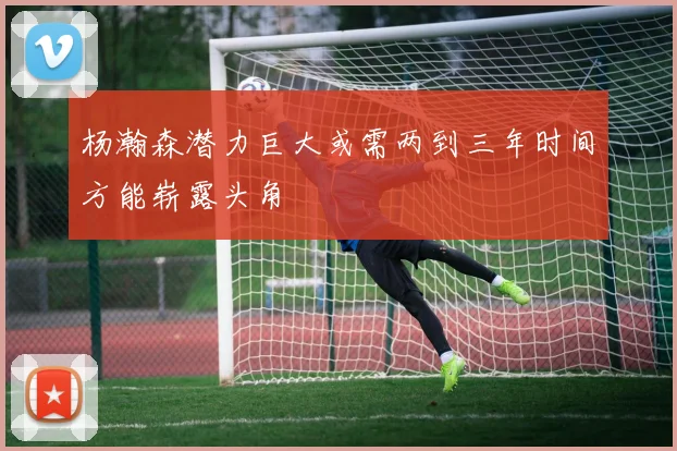 杨瀚森潜力巨大或需两到三年时间方能崭露头角