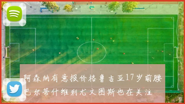 阿森纳有意报价格鲁吉亚17岁前腰巴尔蒂什维利尤文图斯也在关注