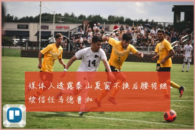 媒体人透露泰山夏窗不换后腰将继续信任马德鲁加