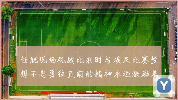 任航现场观战比利时与埃及比赛梦想不息勇往直前的精神永远激励着我们